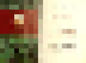 Документ. Свидетельство Министерства геологии СССР и ЦК профсоюза рабочих геологоразведочных работ коллективу Правдинской нефтегазоразведочной экспедиции объединения «Ханты-Мансийскнефтегазгеология» Главтюменьгеологии за достижение наивысших результатов в