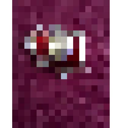 Значок  с изображением головы В.И.Ленина