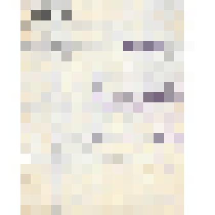 Документ. Удостоверение Белопухова Сергея Семеновича в том, что он состоит слушателем курсов бухгалтерии и коммерческих знаний, состоящих в ведении Московского профессионального образования Московского отдела народного образования, учрежденных А. А. Парши