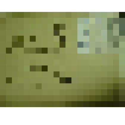 Гербарий. Мелкоцветник прямой, гербария М.И.Губельмана