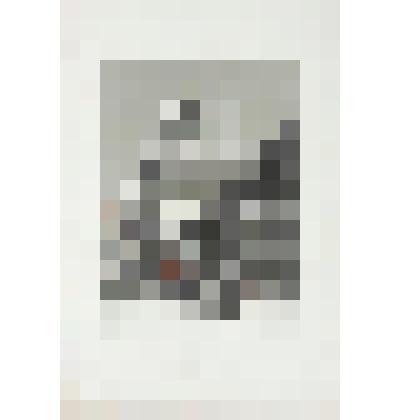 Литография. "Москва. Патриарший собор (Святых апостолов). Внутри Кремля."