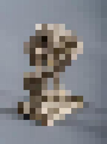 Ню (после купания)