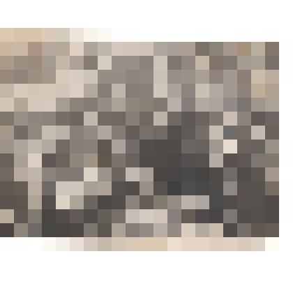 Фотография. Марфа Крюкова, сказительница, с односельчанами. Д. Нижняя Золотица