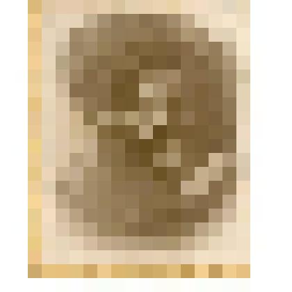 Фотография. Павел Семенович Жуков