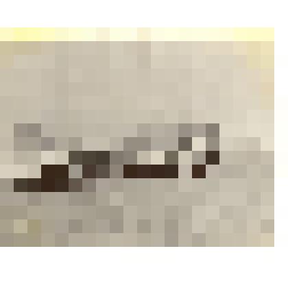 Фотография: коллектив гидрометеостанции г.Камень-на-Оби