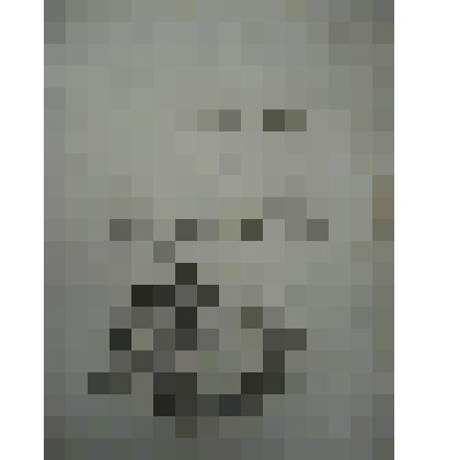 Обложка альбома. Коллекция И.С. Зильберштейна, обложка