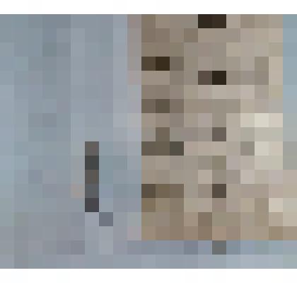 Игла морского ежа