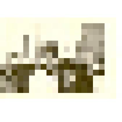 Фотография. Встреча трех поколений у памятника, посвященного 10-летию Советской власти