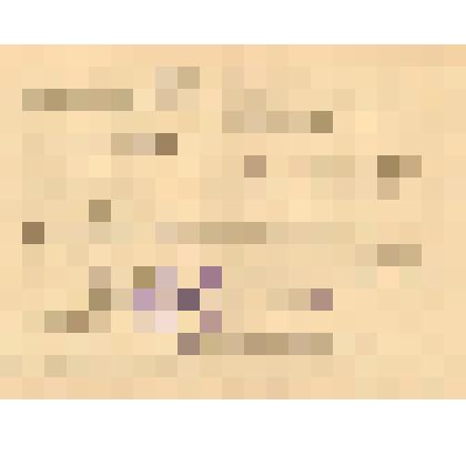 Документ. Выписка из протокола № 22