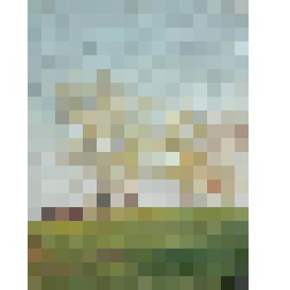 Листва распускается. Этюд