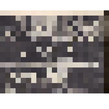 Фотография. Симонов К.М., Кассиль Л.А., неизвестные