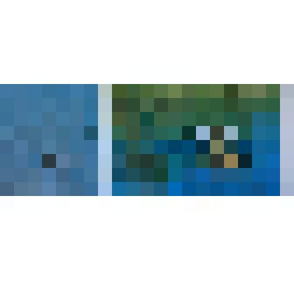 Фотооткрытка цветная №3. Кряква, огарь