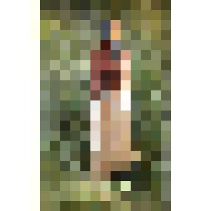 Картина. Портрет девушки