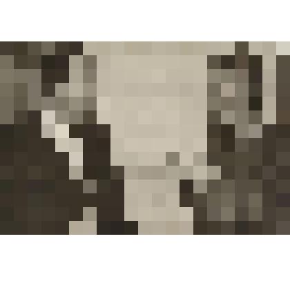 Фотография. Попов Борис Устинович