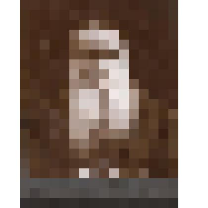 Л.Н.Толстой