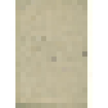 Документы  периода  становления  Сольвычегодского  музея