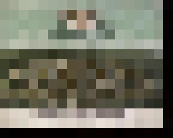 Вид Козельской Введенской Оптиной пустыни в 1887 г