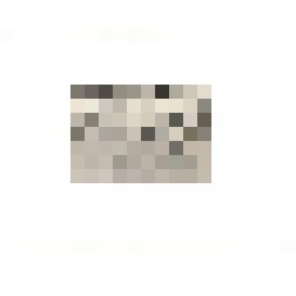 Фотография.  Племзавод . 25-я Выставка племенного животноводства. Корова "Арка"