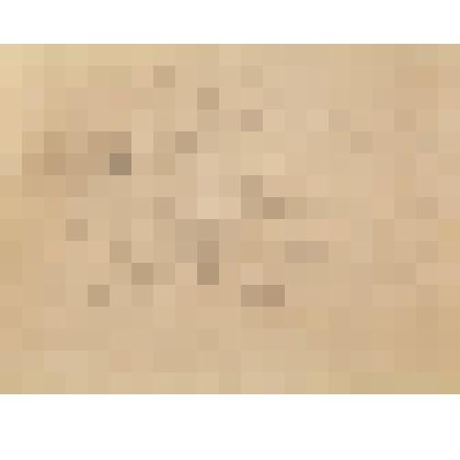 Набросок «Леушкино»