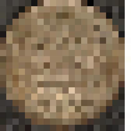 Монета. 5 копеек. Россия страна