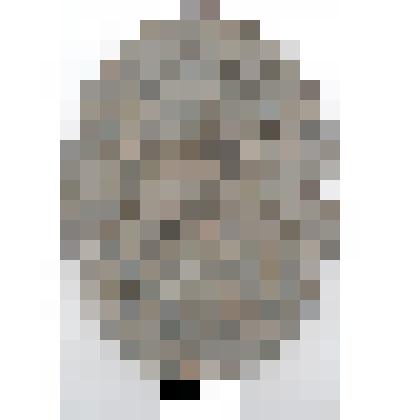 Эмблема дореволюционного страхового общества