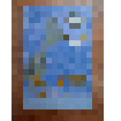 "И дольше века..."