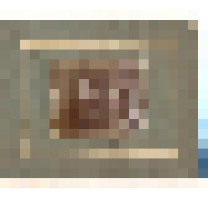 Фотография черно-белая. Священник с семьей в саду