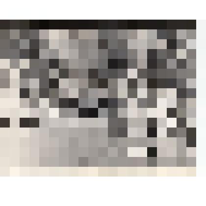 Ф/чб. Зрители на набережной Саратова на открытии нового автомоста через р. Волга. 11.07.1965