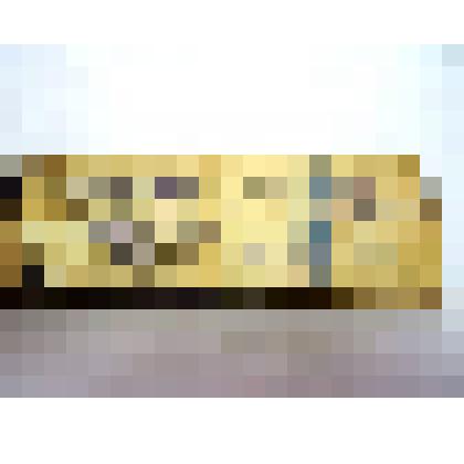 Охотничий билет Кривошеева А.Н