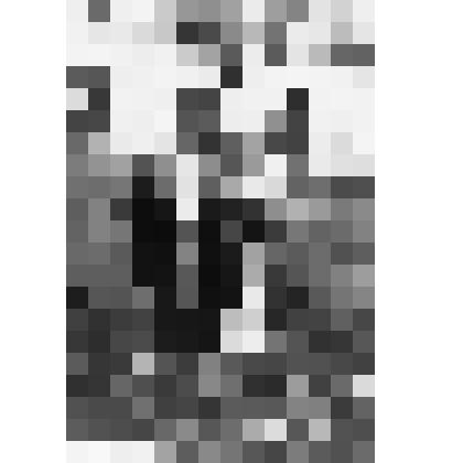 Фото групповое