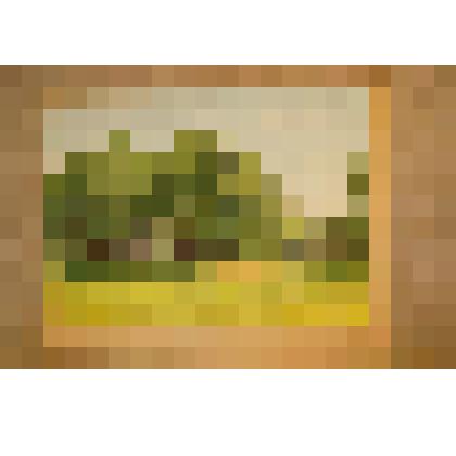 Картина. Лето