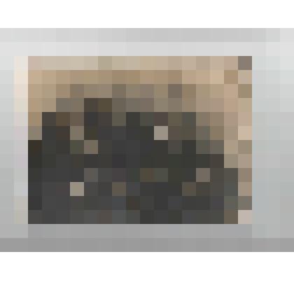 Ф/чб/к. Семья поволжских немцев Михаэлис. Баронск (Екатериненштадт). 1918