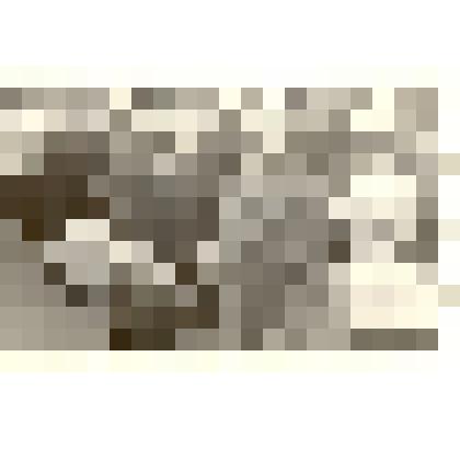 Фотография: первомайская демонстрация в г.Камень-на-Оби Алтайского края. Делегация отдела культуры