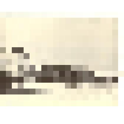 Фотография: колонна Каменского училища механизации на демонстрации 7 ноября 1957 года