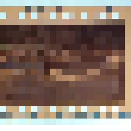 Негатив. Новые "ГАЗели", приобретенные Донским ПАТП на средства господдержки