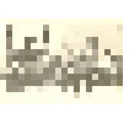 Фотография: на демонстрации 7 ноября 1957 года в г.Камень-на-Оби