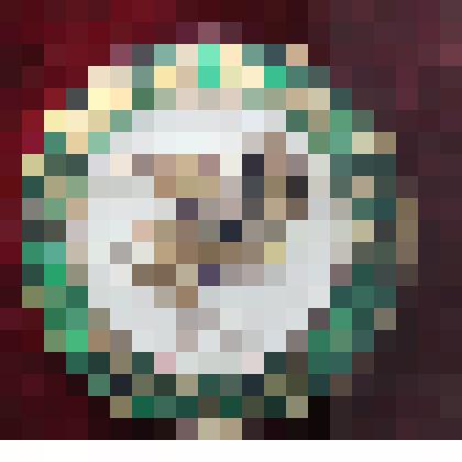 Значок. Красноярский край Турухтан