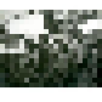 Фотография ч/б. Тунгусы с ружьями