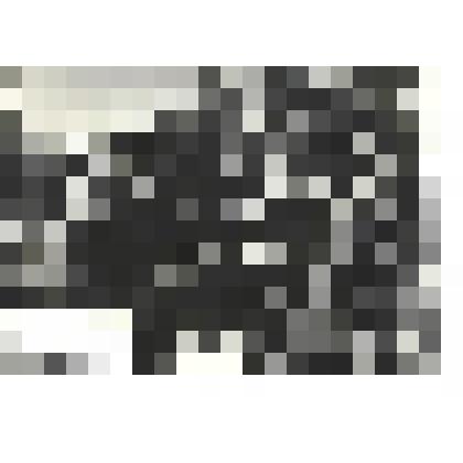 Фотографии. Фото ч/б. Поэты - военные корреспонденты: Константин Симонов и Алексей Сурков на фронте, осень 1941 г