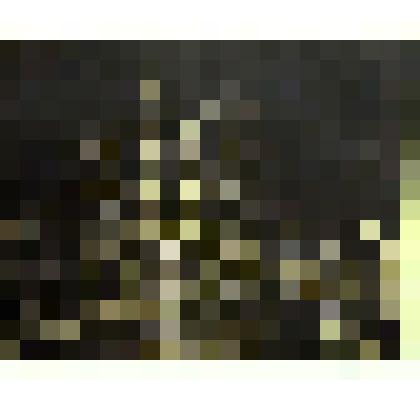 Спас на крови