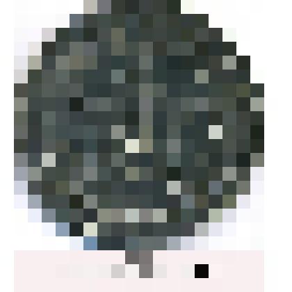 Монета. 1 рубль