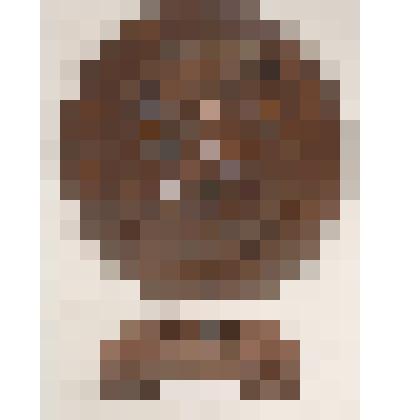 Медальон-портрет и плакета. Кювье