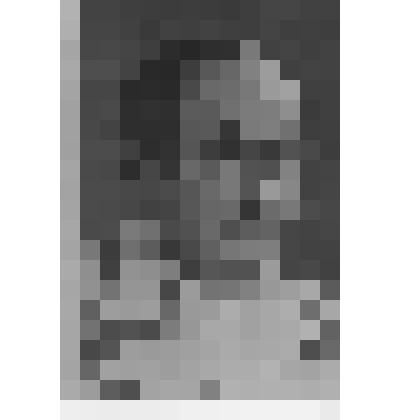 Фотография. Артист Мосин-Новосельский Михаил Сергеевич