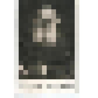 Открытка.Л. Н. Толстой.  С фото В. Г. Черткова.Кочеты. Май 1910 г