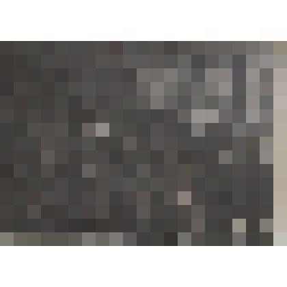 Групповая фотография. Ганф Юлий Абрамович в группе художников на выставке работ к 10-летию журнала "Крокодил" в Третьяковской галерее