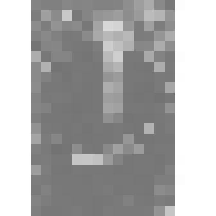 Фото. Маяковская А.А