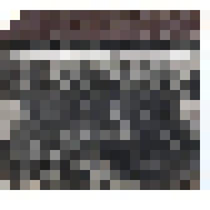 Ф/чб/п. III-е Республиканское совещание начальников кантонных административных отделов АССРНП (военкомы). Покровск. 21-24 сентября 1926