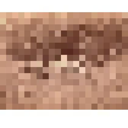 Ф/чб/п. Дружеский портрет отдыха на природе (пикник). Нач. ХХ в