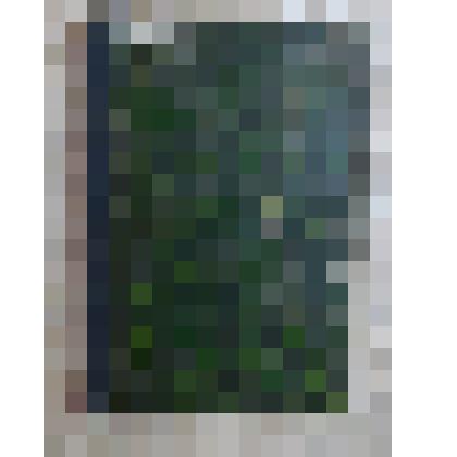 Журнал "Исторический вестник", май 1896 г