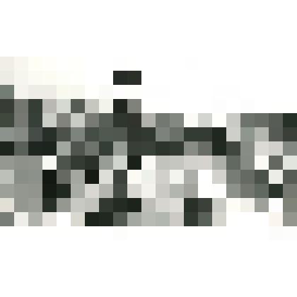 Фотография сюжетная. Торжественная линейка, посвященная приему в пионеры